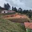 Terrain à vendre à Marinilla, Antioquia, Marinilla