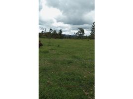  Terrain for sale in Marinilla, Antioquia, Marinilla