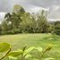  Terreno (Parcela) en venta en La Ceja, Antioquia, La Ceja, Antioquia, Colombia