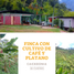3 Bedroom Villa for sale in Pijao Quindio, Pijao, Quindio, Colombia