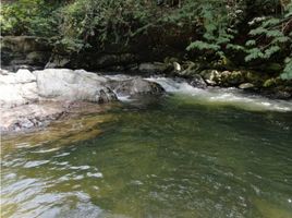  Grundstück zu verkaufen in San Carlos, Antioquia, San Carlos