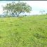  Land for sale in San Jeronimo, Antioquia, San Jeronimo