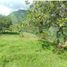  Land for sale in San Jeronimo, Antioquia, San Jeronimo