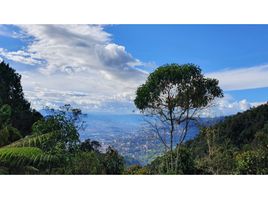  Land for sale in Envigado, Antioquia, Envigado