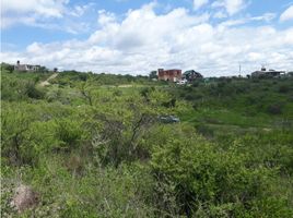  Land for sale in Punilla, Cordoba, Punilla