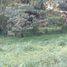  Land for sale in Rionegro, Antioquia, Rionegro