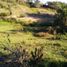  Land for sale in Rionegro, Antioquia, Rionegro