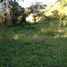  Land for sale in Rionegro, Antioquia, Rionegro