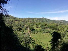  Land for sale in Magdalena, Santa Marta, Magdalena