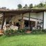 Maison 4 chambre à vendre à Retiro, Antioquia, Retiro