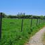  Terreno (Parcela) en venta en Maule, Longavi, Linares, Maule