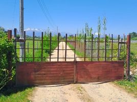  Terreno (Parcela) en venta en Maule, Longavi, Linares, Maule
