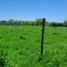  Terreno (Parcela) en venta en Maule, Longavi, Linares, Maule