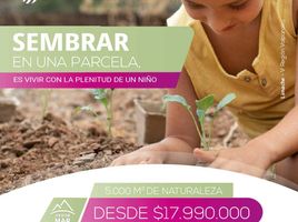  Terreno (Parcela) en venta en Chile, Quilpue, Valparaíso, Valparaíso, Chile