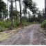  Terreno (Parcela) en venta en Araucanía, Villarrica, Cautín, Araucanía