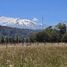  Terreno (Parcela) en venta en Chile, Puerto Montt, Llanquihue, Los Lagos, Chile