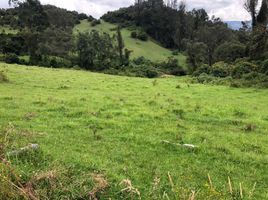  Land for sale in La Calera, Cundinamarca, La Calera