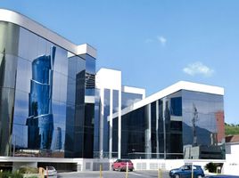 236 平米 Office for rent in Nuevo Leon, Monterrey, Nuevo Leon