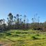  Land for sale in Chile, Algarrobo, San Antonio, Valparaiso, Chile