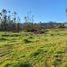  Land for sale in Chile, Algarrobo, San Antonio, Valparaiso, Chile
