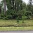  Terreno (Parcela) en venta en Cautín, Araucanía, Villarrica, Cautín