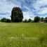  Land for sale in Chile, Osorno, Osorno, Los Lagos, Chile
