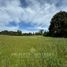  Land for sale in Chile, Osorno, Osorno, Los Lagos, Chile