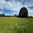  Land for sale in Chile, Osorno, Osorno, Los Lagos, Chile