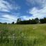  Land for sale in Chile, Osorno, Osorno, Los Lagos, Chile