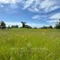  Land for sale in Chile, Osorno, Osorno, Los Lagos, Chile