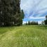  Terreno (Parcela) en venta en Chile, Osorno, Osorno, Los Lagos, Chile