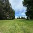  Terreno (Parcela) en venta en Chile, Osorno, Osorno, Los Lagos, Chile
