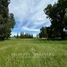  Terreno (Parcela) en venta en Chile, Osorno, Osorno, Los Lagos, Chile