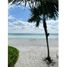  Terreno (Parcela) en venta en Othon P Blanco, Quintana Roo, Othon P Blanco