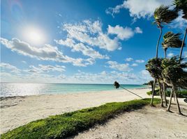  Terreno (Parcela) en venta en Othon P Blanco, Quintana Roo, Othon P Blanco
