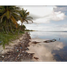  Terreno (Parcela) en venta en Othon P Blanco, Quintana Roo, Othon P Blanco