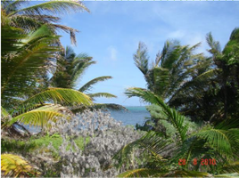  Terreno (Parcela) en venta en Othon P Blanco, Quintana Roo, Othon P Blanco