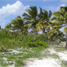  Terreno (Parcela) en venta en Othon P Blanco, Quintana Roo, Othon P Blanco