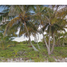  Terreno (Parcela) en venta en Othon P Blanco, Quintana Roo, Othon P Blanco