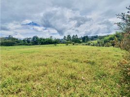  Land for sale in El Carmen De Viboral, Antioquia, El Carmen De Viboral