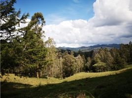 Terrain à vendre à Retiro, Antioquia, Retiro