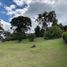  Land for sale in El Carmen De Viboral, Antioquia, El Carmen De Viboral