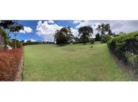  Land for sale in El Carmen De Viboral, Antioquia, El Carmen De Viboral