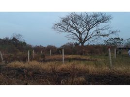  Land for sale in Casanare, Yopal, Casanare