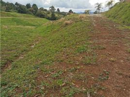  Terreno (Parcela) en venta en El Carmen De Viboral, Antioquia, El Carmen De Viboral