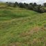  Terreno (Parcela) en venta en El Carmen De Viboral, Antioquia, El Carmen De Viboral