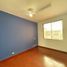 538 Sqft Office for rent in Quindio, Salento, Quindio