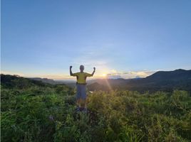  Grundstück zu verkaufen in Nilo, Cundinamarca, Nilo