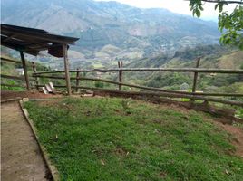  Terreno (Parcela) en venta en Barbosa, Antioquia, Barbosa