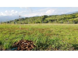  Terreno (Parcela) en venta en Risaralda, Caldas, Risaralda